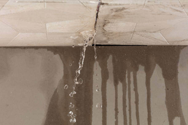 Professional Water Damage Inspection technician working in Germantown, IL